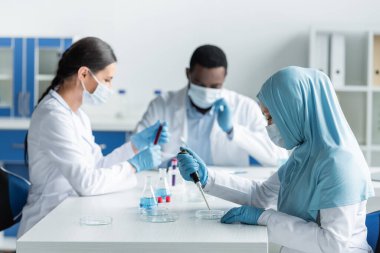 İş arkadaşlarının yanında elektronik pipet ve petri kabı kullanan lateks eldivenli Arap bilim adamı. 