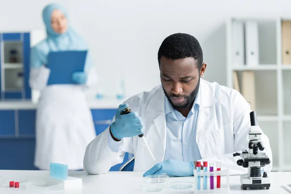 African American Scientist Working Pipette Petri Dishes Blurred Colleague Laboratory — Foto de Stock