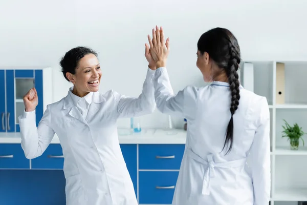 African American Doctor Giving High Five Colleague Clinic — Stock Fotó