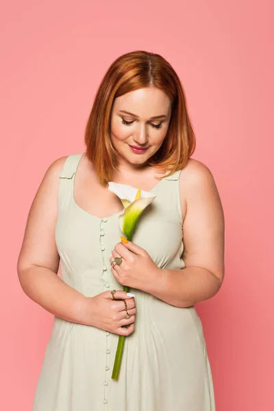 Mulher Ruiva Olhando Para Calla Lírio Isolado Rosa — Fotografia de Stock