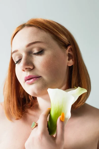Redhead Body Positive Woman Holding Calla Lily Isolated Grey — Stock Photo, Image