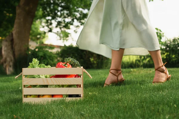 Cropped View Woman Dress Standing Wooden Container Vegetables Grass — Stock Photo, Image