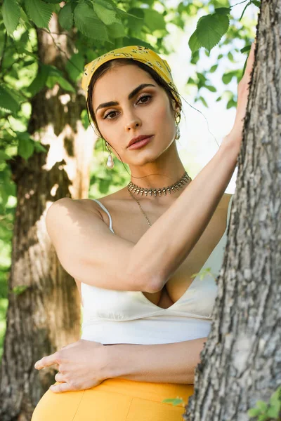 Trendy Woman Yellow Headscarf Leaning Tree Trunk Looking Camera — Stock Photo, Image