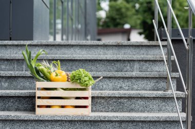Box with fresh vegetables on stairs near building  clipart