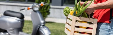 Cropped view of courier holding box with ripe vegetables near blurred scooter, banner  clipart