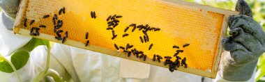 Arı yetiştiricisinin arılarla bal peteği çerçevesini tutarken kısmi görüntüsü, afiş