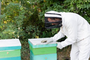 Arı kovanını arı kovanına açan güvenlik kıyafeti ve miğfer giymiş arı uzmanı.