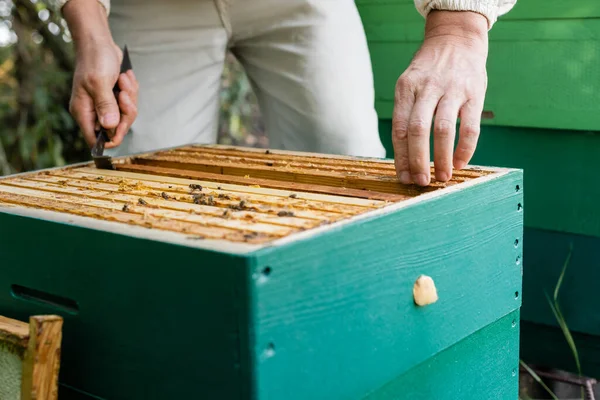 Gedeeltelijk Zicht Van Bijenmeester Die Honingraatlijsten Inspecteert Bijenstal — Stockfoto