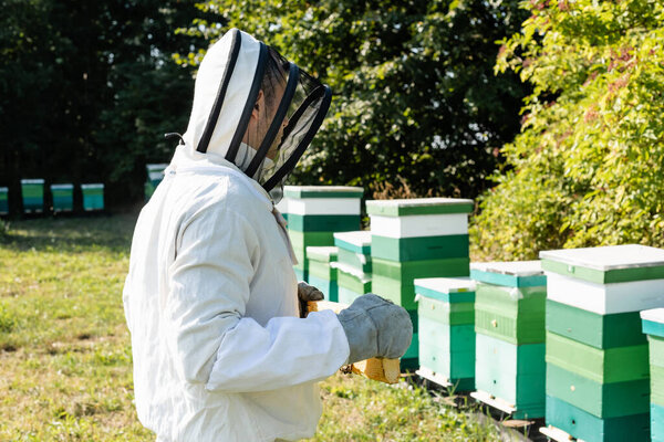 apiarist in beekeeping suit and helmet with veil holding honeycomb near beehives on apiary