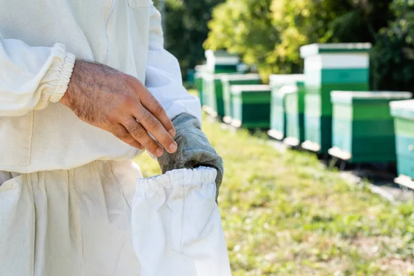 Vista Parcial Del Maestro Las Abejas Poniéndose Guantes Protectores Colmenar —  Fotos de Stock