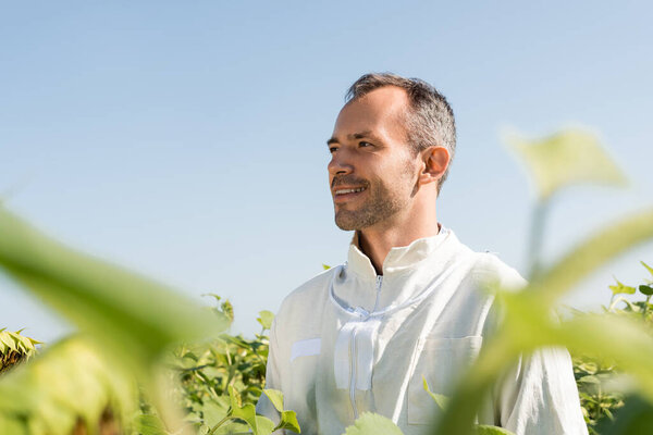 smiling apiarist looking away in field against blue sky on blurred foreground