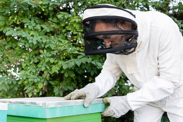 bee master in protective suit and helmet with veil opening beehive on apiary
