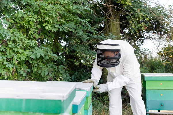 Pszczelarz Sprzęcie Bezpieczeństwa Otwierającym Ula Podczas Pracy Pasiece — Zdjęcie stockowe