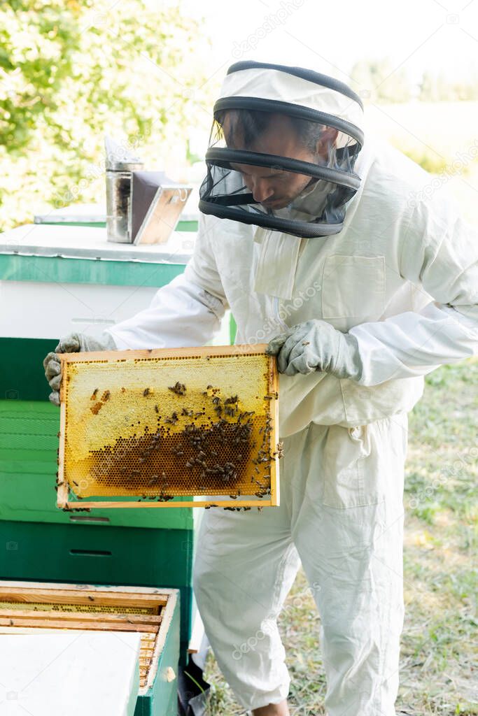 apiarist holding frame with honeycomb and bees on apiary