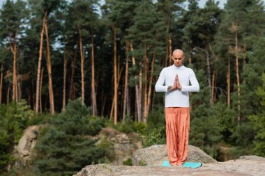 Ağaçta meditasyon yapan bir Budist 'in, ormanda dua eden ellerle duruşu.