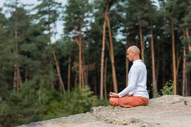 Beyaz kazaklı Budist 'in ormanda nilüfer çiçeği pozunda meditasyon yapmasının yan görüntüsü.
