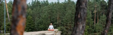 Budist, nilüfer çiçeğiyle yoga yapıyor. Ormanda kayalar üzerinde poz veriyor. Önü bulanık.
