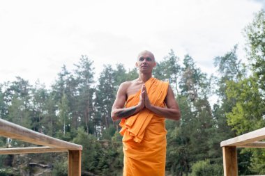 Budist keşişin, ormandaki ahşap çitlerin yanında dua eden ellerle meditasyon yaptığını alçak açıdan görmek.