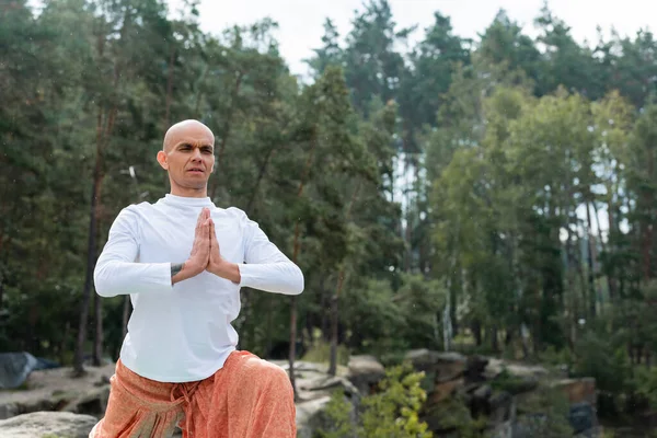 Buddhist Sudadera Blanca Meditando Bosque — Foto de Stock