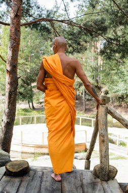 back view of buddhist in traditional orange robe standing near wooden fence in forest clipart