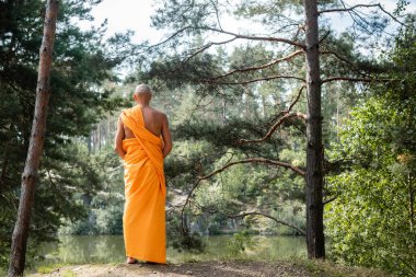 Turuncu kasaya giymiş Budist 'in gölün yakınındaki ormanda meditasyon yapışı.