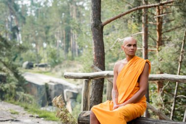 Geleneksel turuncu cüppeli Budist keşiş ormandaki kütük bankında oturuyor.