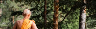 Ormanda meditasyon yapan Budistlerin arka planı, afiş