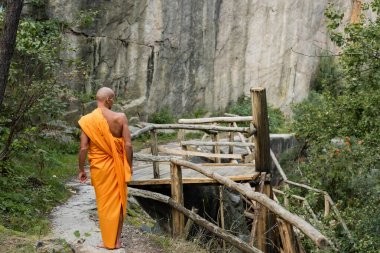 back view of buddhist in orange kasaya walking near wooden walkway and rocks in forest clipart