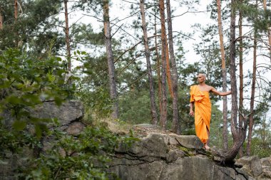 Turuncu cüppeli Budist ormandaki kayalık kayalıklarda yürüyor.