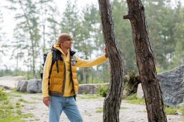 traveler in warm vest and beanie looking away while standing near trees in forest clipart