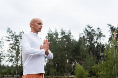buddhist in white sweatshirt praying in forest clipart