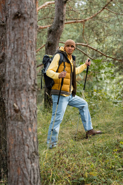 full length view of hiker with trekking poles looking away while standing in forest