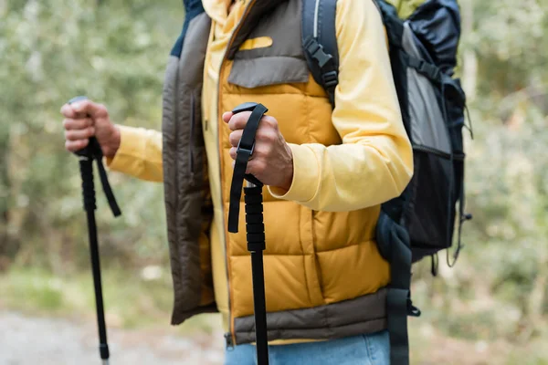 Částečný Pohled Turisty Teplé Vestě Stojící Trekkingovými Tyčemi Venku — Stock fotografie