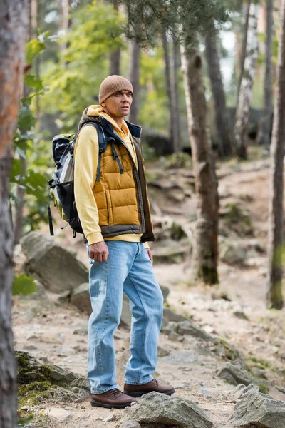暖かいベストに身を包んだ旅人と森の中で道を眺めているジーンズ — ストック写真