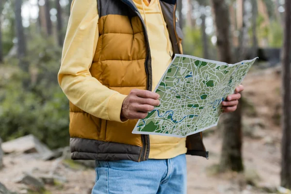 Cropped View Tourist Warm Vest Holding Map Forest — Stock Photo, Image