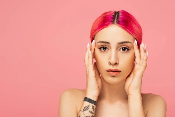 Focused Tattooed Young Woman Colorful Hair Looking Camera Isolated Pink — Stock Photo, Image