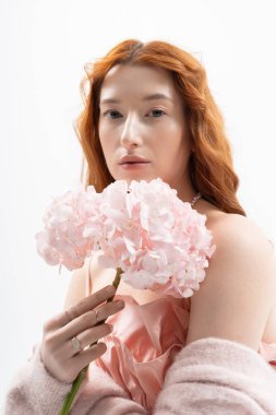 Genç kızıl saçlı bir kadın zarif bir şekilde pembe çiçeklerle poz veriyor. Stüdyoda bahar modasını sergiliyor..