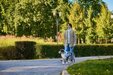 Yay ceketli genç bir adam, Avustralya çoban köpeğiyle parkta geziniyor..