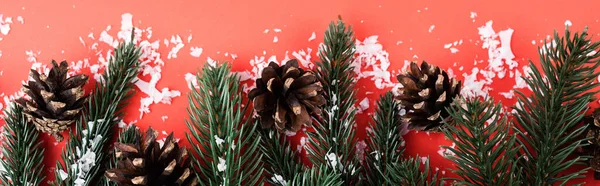 Сосновые шишки с еловыми ветвями и искусственным снегом, новогодняя концепция, баннер — стоковое фото