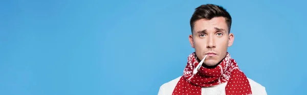 Portrait of sad young adult man holding thermometer in mouth isolated on blue, banner — Stock Photo