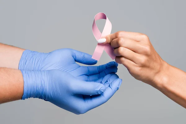 Vista recortada de las manos del médico en guantes de látex cerca de la mujer que sostiene la cinta rosa de la conciencia de cáncer de mama aislado en gris - foto de stock