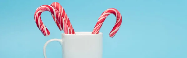 Cannes de bonbons dans une tasse blanche isolée sur fond bleu, bannière — Photo de stock