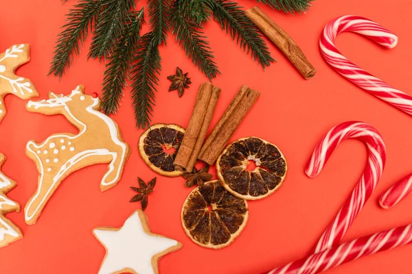 Top view of Christmas tree, candy canes, spices and gingerbread cookies on red background — Stock Photo