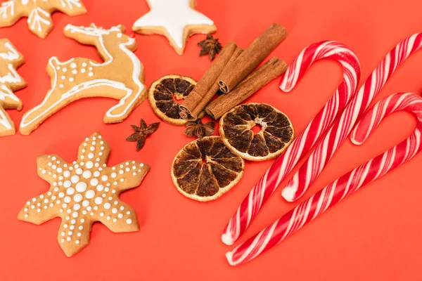 Top view of candy canes, spices and gingerbread cookies on red background — Stock Photo