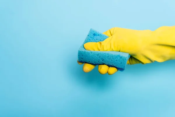 Обрезанный вид руки в резиновой перчатке с губкой на синем фоне — стоковое фото