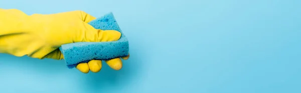 Cropped view of hand in yellow rubber glove holding sponge on blue background, banner — Stock Photo