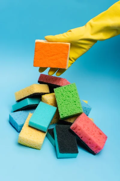 Vista recortada de la mano en guante de goma que sostiene la esponja cerca de esponjas de colores sobre fondo azul - foto de stock