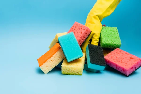 Cropped view of person in rubber glove near colorful sponges on blue background — Stock Photo