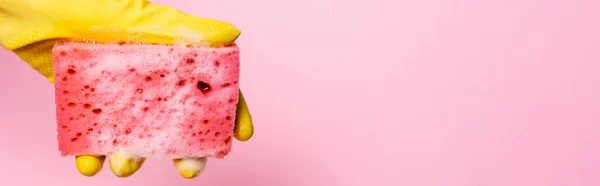 Sponge with soapsuds in hand in rubbed glove on pink background, banner — Stock Photo