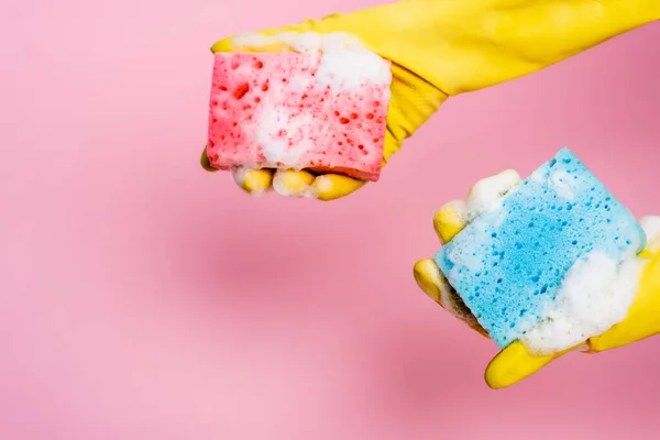 Cropped view of hands in rubber gloves holding colorful sponges with soapsuds on pink background — Stock Photo